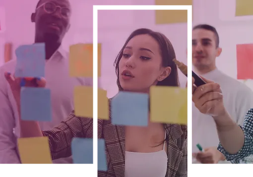 Platform development team
